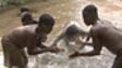 Human Planet – Jungles - BaAka water drumming