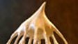 How to make the perfect meringue