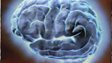Make the most of your brain