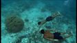 How do Moken children see with amazing clarity underwater?