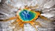 BBC Two: Yellowstone
