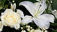 BEREAVEMENT BENEFITS FACTSHEET