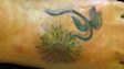 PAT AND BRENDA :: TATTOOS