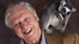 David Attenborough's Madagascar