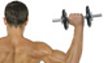 BODYBUILDING