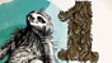 Pygmy Three-Toed Sloth (Bradypus pygmaeus)