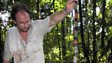 Coral snake: beautiful but deadly