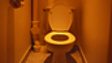 TOILET SEATS