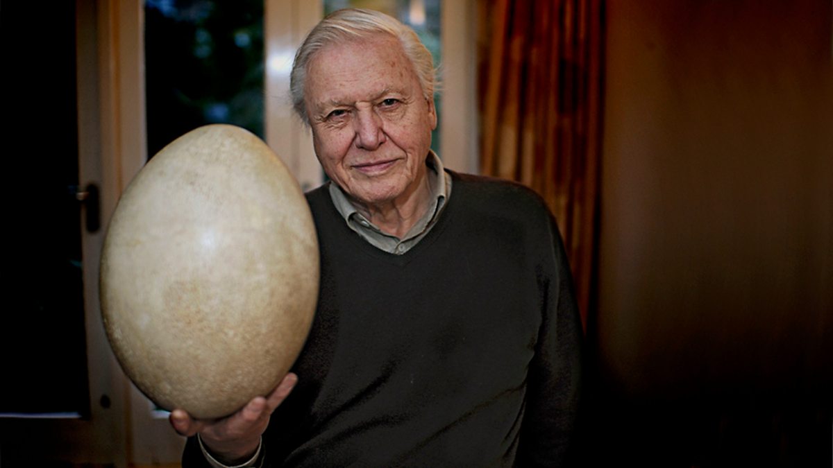 Attenborough And The Giant Egg - Episode 12-04-2020