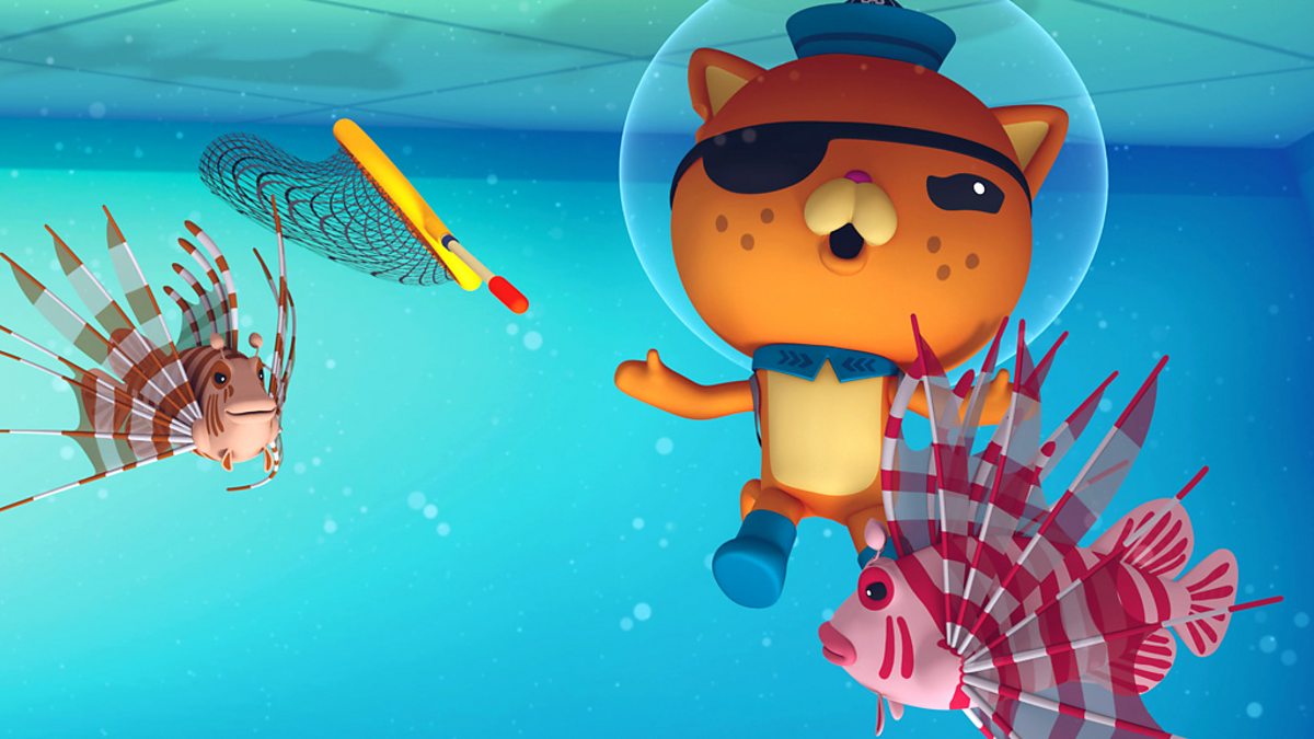 BBC IPlayer - Octonauts - Series 2: 17. Lionfish