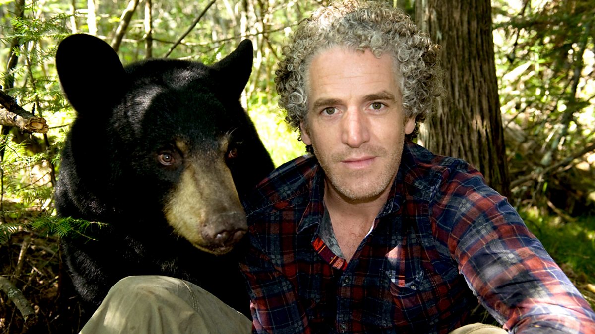 BBC Two The Bear Family and Me