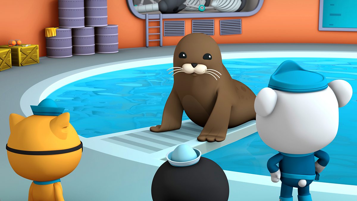 Octonauts Series Harbour Seal Bbc Iplayer