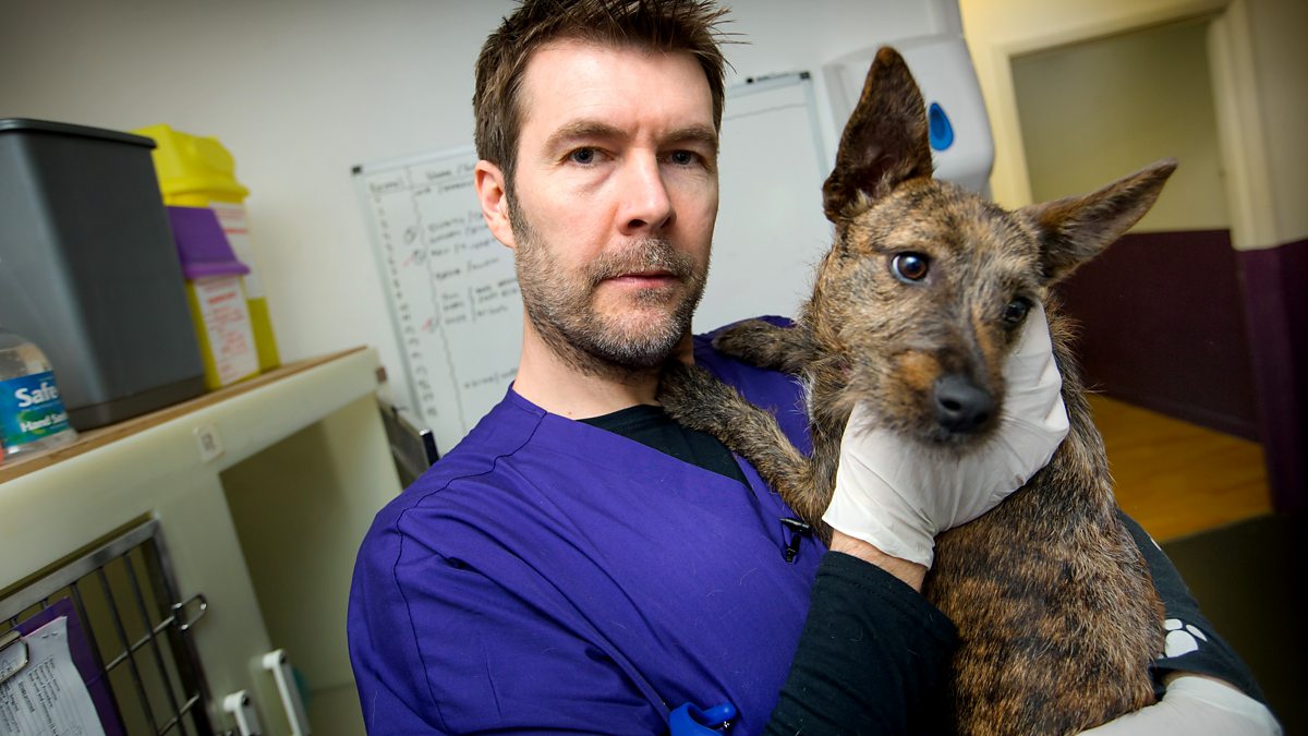 BBC One Rhod Gilbert's Work Experience, Series 5, Vet