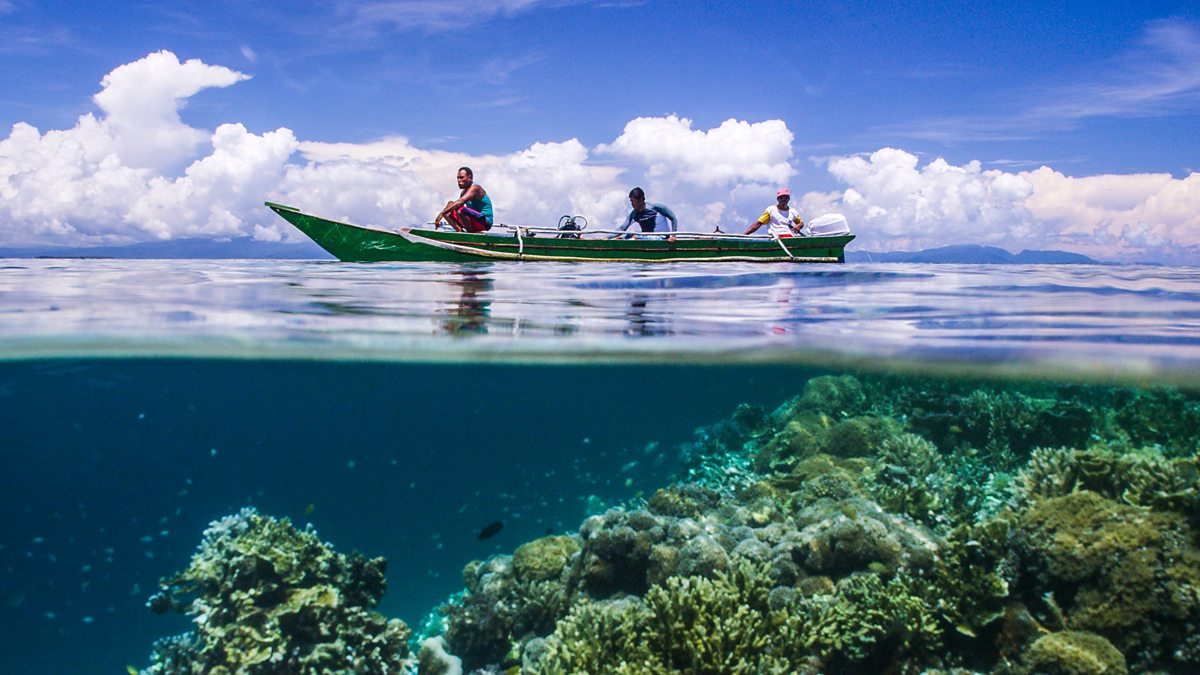 BBC Two - Earth's Natural Wonders: Living On The Edge