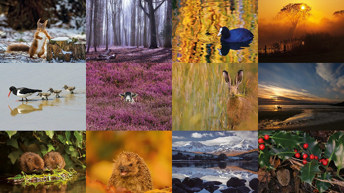 BBC Countryfile Calendar 2025 By Post: Capture The Enchanting Beauty Of The British Countryside 