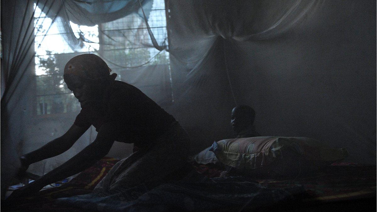 Essays on malaria in africa