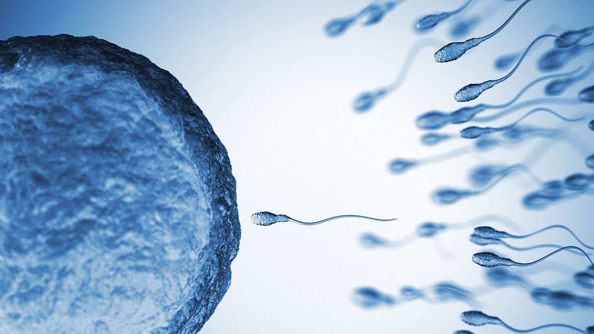 Sperm donors law suits