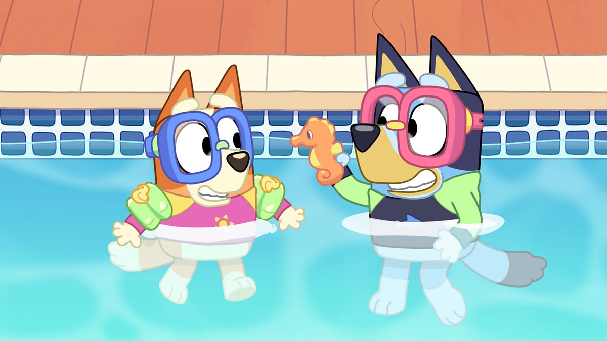 Bluey Series The Pool Bbc Iplayer