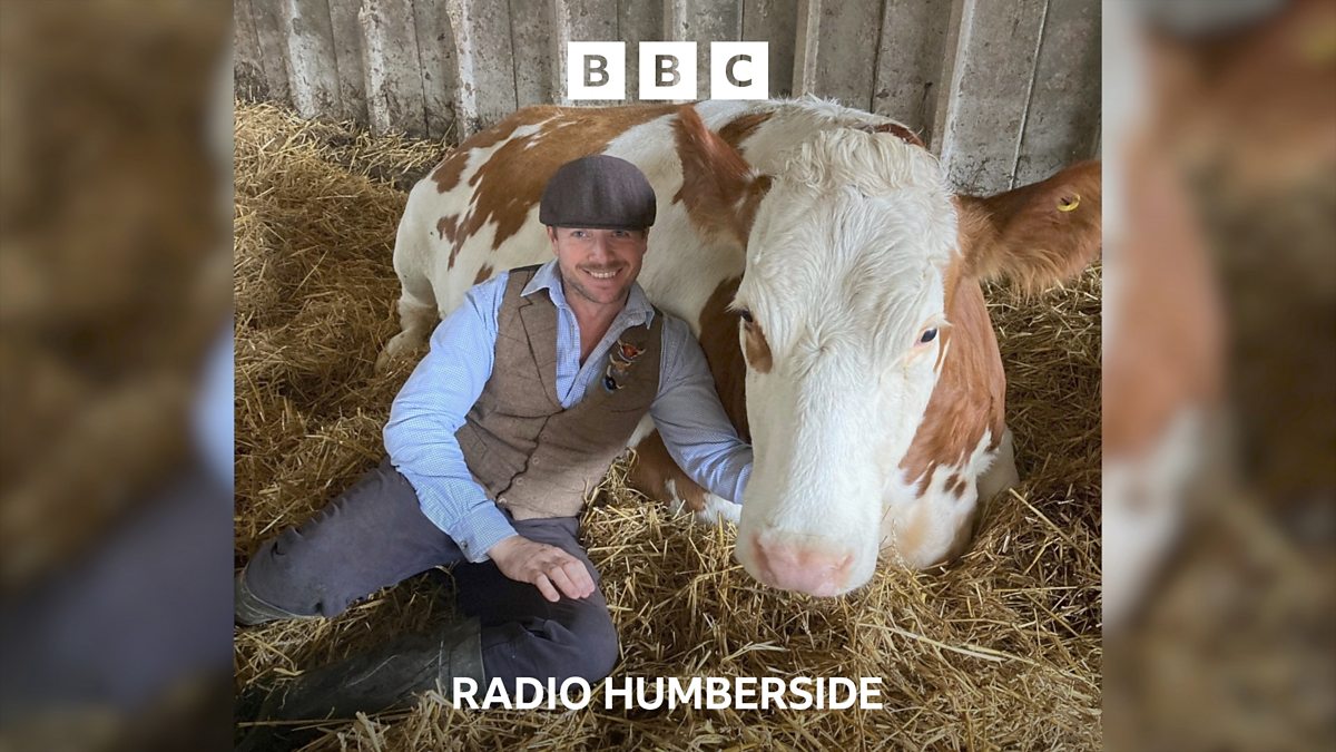 BBC Radio Humberside BBC Radio Humberside 2023 The Year Cow