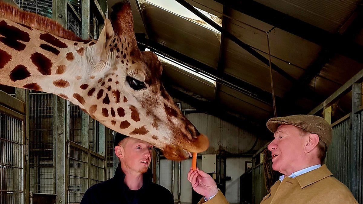 Bbc Two Great British Railway Journeys Series Chippenham To Yeovil