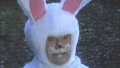 Dibley's Easter Bunny