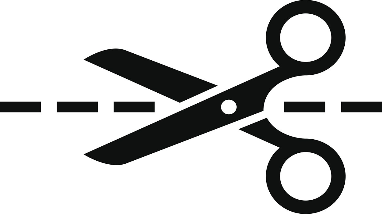 Webcam scissor