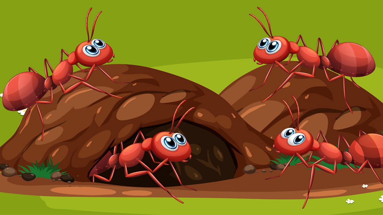 Домик муравьишки