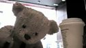 Misery Bear