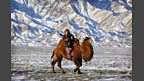 Human Planet: Deserts / Gobi Desert, Mongolia