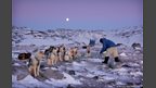 Human Planet: Arctic / Ilulissat, western Greenland 