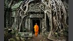 Human Planet: Jungles / Temple at Angkor Wat, Cambodia 