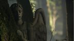 Weeping Angel