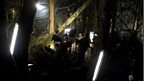 Lighting the Forest