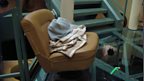 Blankets