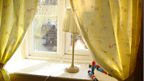 View from the Nursery Window