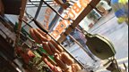 View From the Butcher Shop Window