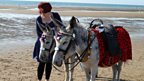 Donkey Trail