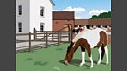 The Stables