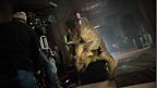 The Doctor and the Dino…