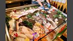Gill's Plaice