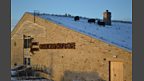 Sheep grazing the roof at Cross Lanes Organic Farm