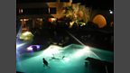Pool party