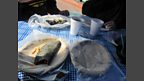 Breakfast at the docks mexican-style