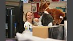 Employee Of The Day