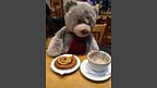 Spot of breakfast for Ryan Bear