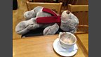 Too much chocolate for Ryan Bear