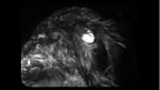 The Web of Fear: Part 6