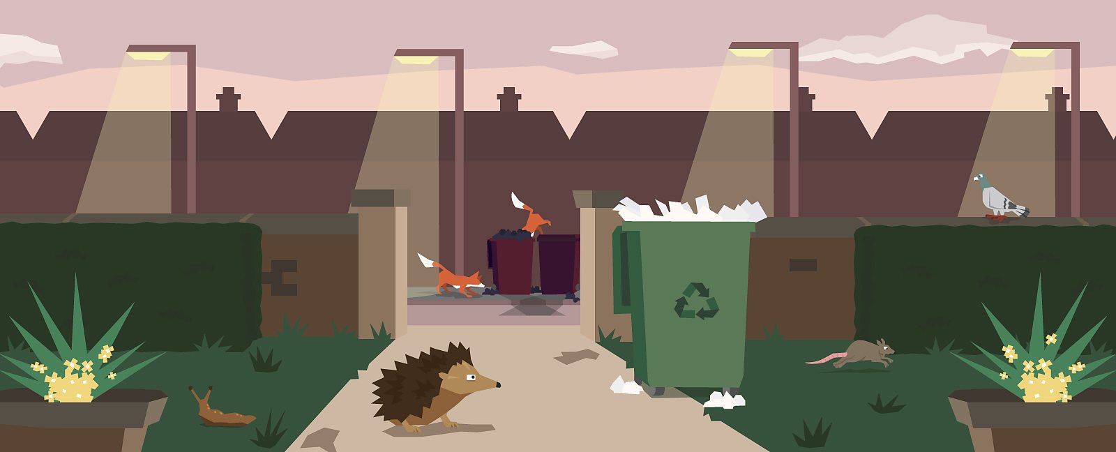 BBC Bitesize What is an urban habitat?