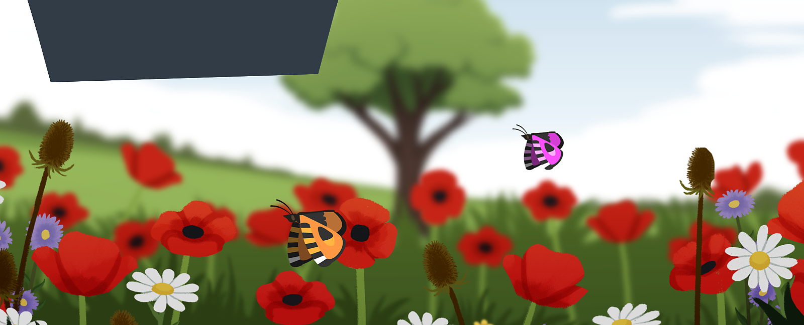 BBC Bitesize What does a plant need to grow?