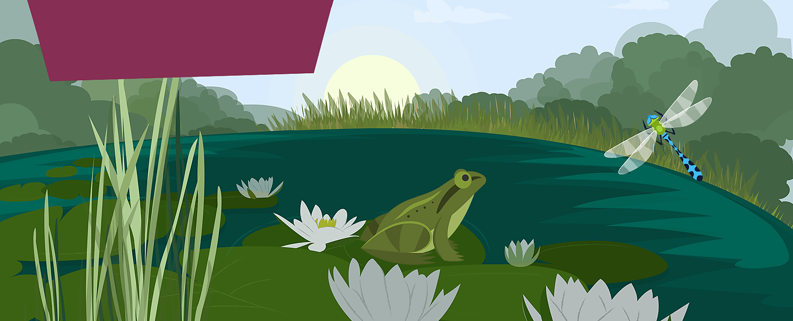 bbc-bitesize-what-is-a-pond-habitat